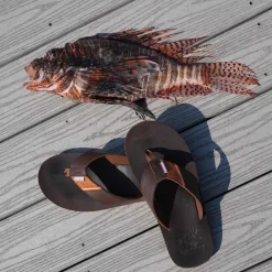 Sale Lionfish Sandal Footwear